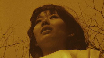 Complex (1964)