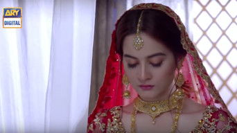 Episode 7 — Episode 7