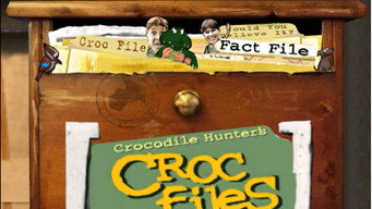 Croc Files (1999-2001)