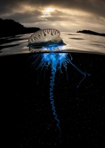 The Blue Planet: Season 1