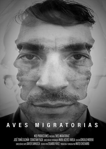 Poster of Aves migratorias