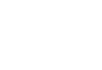 The Vow logo