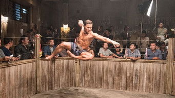 Galeria 5 - Triple amenaza