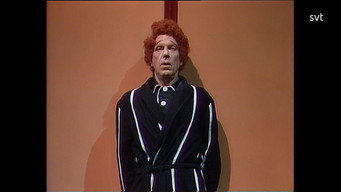 Miss Fleggman's Mustache (1984)