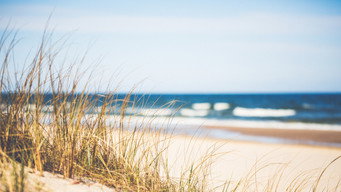 #25 Beachfront Bargain Hunt