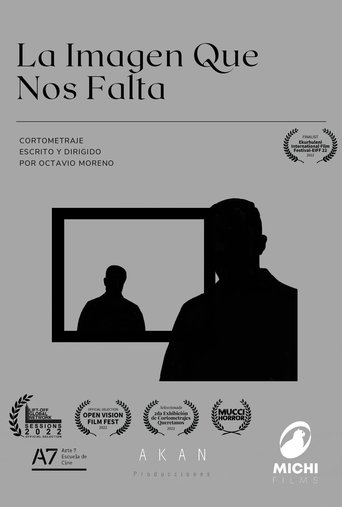 The Missing Image poster