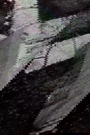 Street Film Part Zero