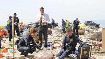 Cena de The Bod in the Pod