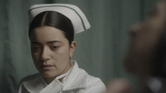 Night Shift (2024)
