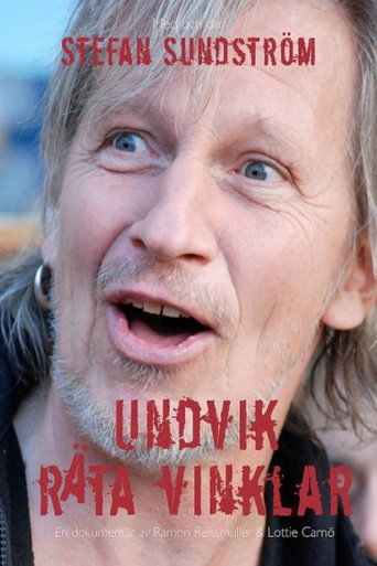 Undvik r&auml;ta vinklar (2011)