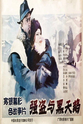 强盗与黑天鹅