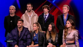 Gran Hermano T19E125