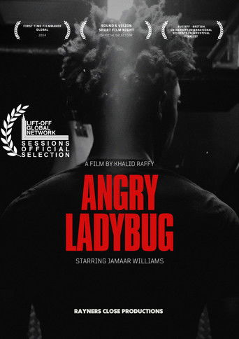 Angry Ladybug (2024)