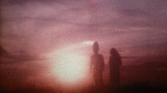 Токійський капустяний чоловік K (1980)