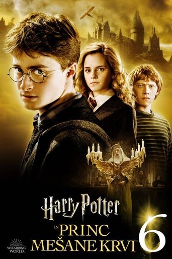 Harry Potter in Princ mešane krvi