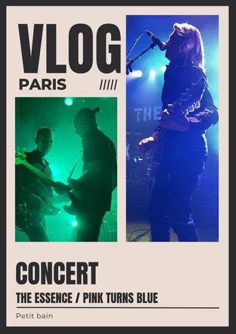 The Essence live at Petit Bain Paris France