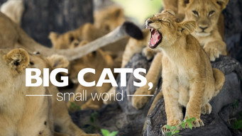 Big Cats, Small World (2024)