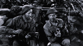 #7 Bataan