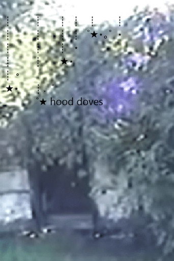 Hood Doves