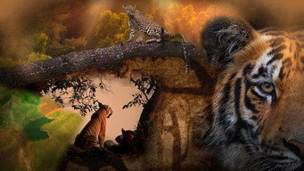 Tiger Legacy (2025)