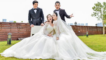 The Perfect Wedding (2009-2017)