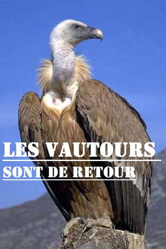 Les vautours sont de retour poster