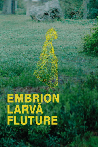 Embrion, larvă, fluture