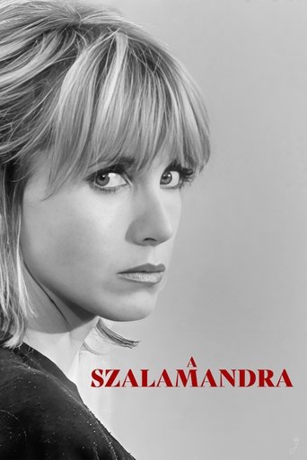 A szalamandra
