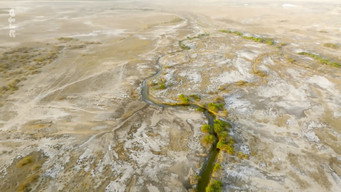 #17 Destination Wild: India
