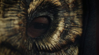 Finding The Golden Owl (2025)