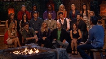 Survivor S25E15 poster