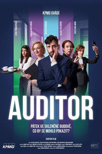 Auditor