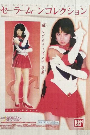 Poster 8