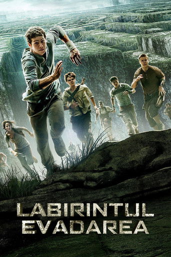 Labirintul: Evadarea