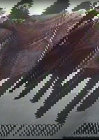 Amnistía y libertad