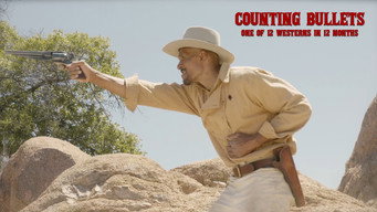 #4 Counting Bullets