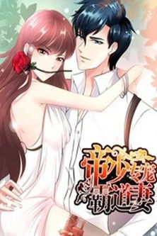 Hegemonic Wife poster