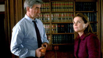 Law & Order S13E7 poster