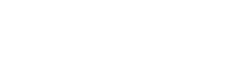 صورة من حفل زفاف جميل
