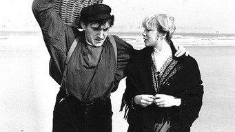 Sil de strandjutter (1976)