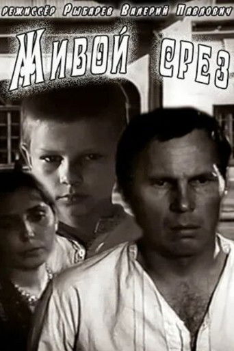 Poster de Живой срез