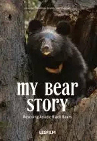 Poster film My Bear Story