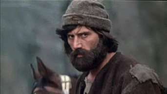 Бірюк (1978)