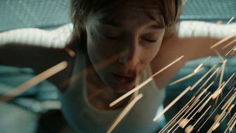 Episode 7 — Episode 7