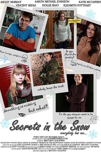 Poster of Secrets in the Snow