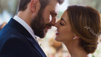 Episode 85 — Episode 85