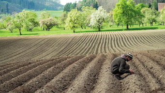 #6 Our Soil is Our Heritage