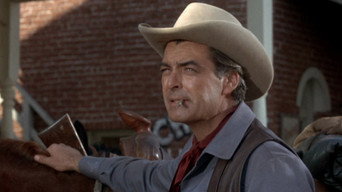 #10 The Gun Hawk