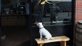 Galeria 5 - Desaparecido en Venice Beach