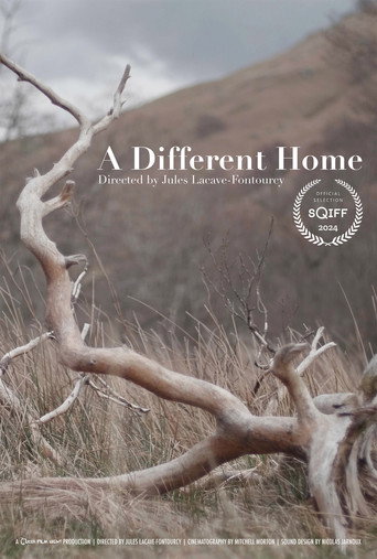A Different Home poster